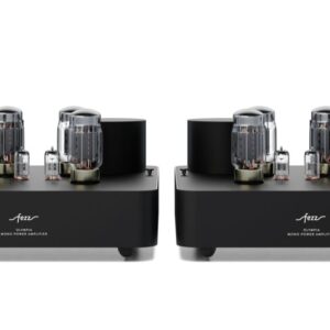 Fezz Olympia Mono Power Amplifier