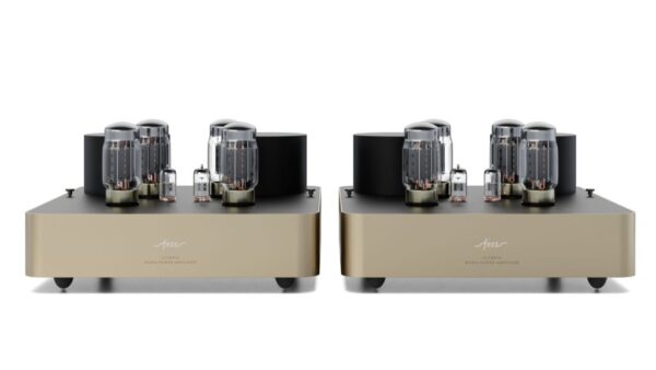 Fezz Olympia Mono Power Amplifier - Image 2
